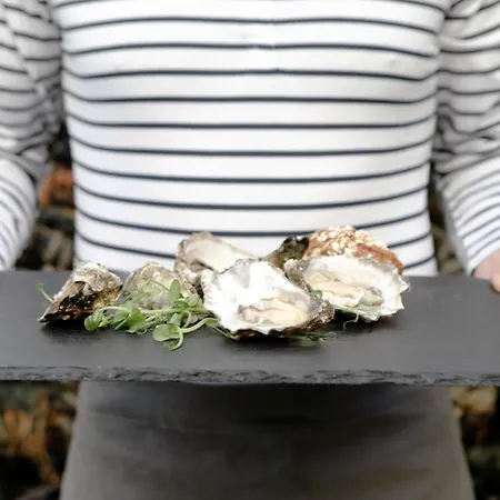 Armada 4* Spanish Point